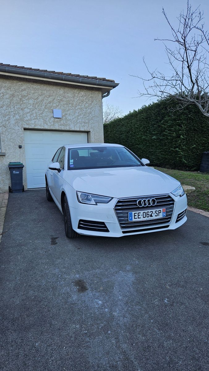 Audi blanche